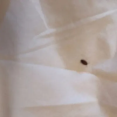 Hotel Ponto Batea — Hotel — 2