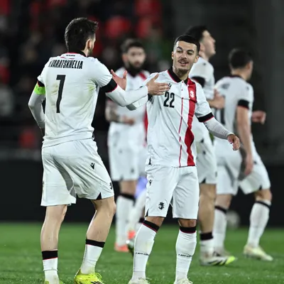 Payment terminal Bank of Georgia (Alexandra Chavchavadze St., 7) — 6