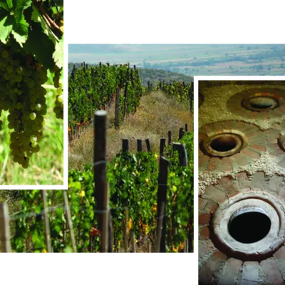 Rich Metals Group — 4