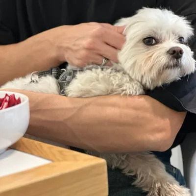 Sash. Coffee & More — 4