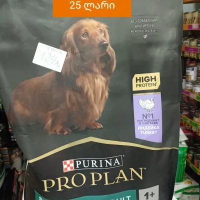 Pet shop "4 Paws" — 1